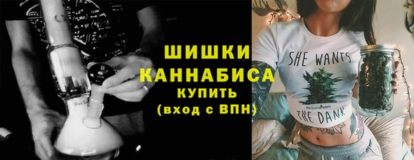 СК Бикин