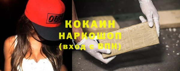дживик Бородино