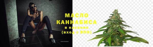 дживик Бородино