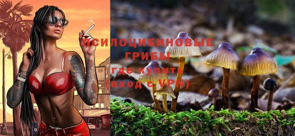 дживик Бородино