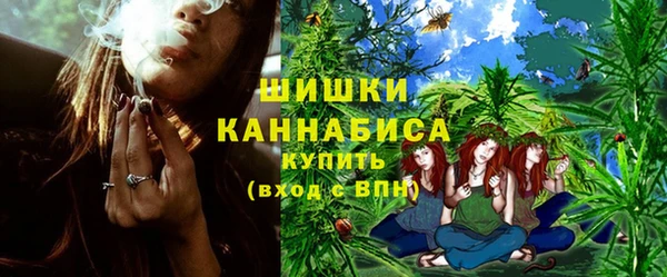 СК Бикин