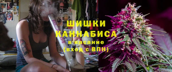 дживик Бородино