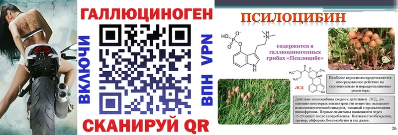 Псилоцибиновые грибы Psilocybe  купить наркоту  Горнозаводск 
